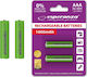 Esperanza Rechargeable Battery AAA Ni-MH 1000mA...