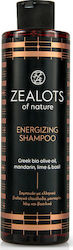Zealots of Nature Mandarin & Basil Sampon de par 250ml