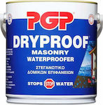 PGP Dryproof Masonry Waterproofer Insulating Sealing 20lt White