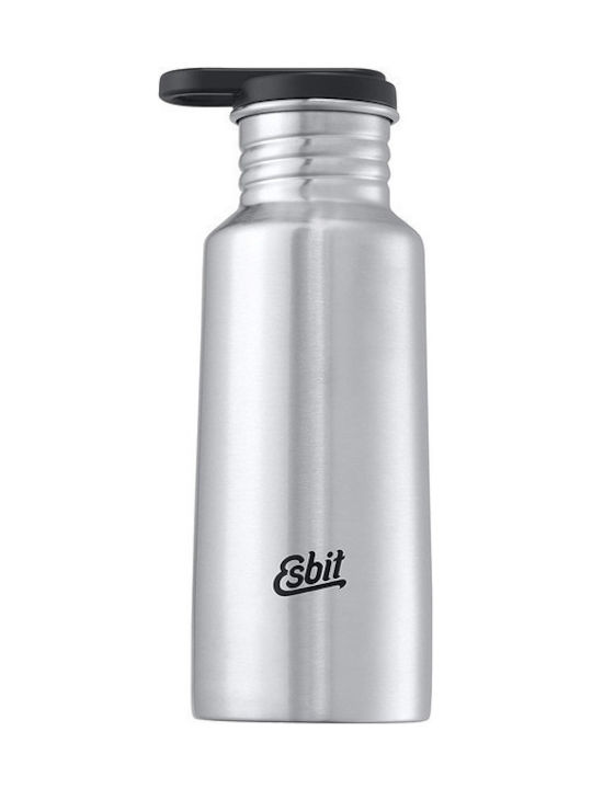 Esbit Pictor Stainless Steel Water Bottle 550ml Silver