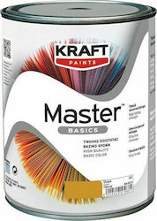 Kraft Master Basics Plastic Vopsea pentru Utilizare Intern Black 180ml