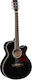 Tanglewood Полуакустичен Китара TW4 E BK Winterleaf Отрязана Черно