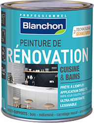 Blanchon Renovation Plastik Farbe für Innenbereich Verwendung Cream 500ml