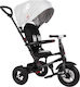 Q Play Rito Air Kids Tricycle Foldable With Air Wheels, Sunshade, Push Handle & Storage Basket for 10+ Months Gray