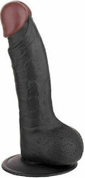Nanma Hoodlum Ρεαλιστικό Dildo με Όρχεις και Βεντούζα Black 19cm Nanma Hoodlum Ρεαλιστικό Dildo με Όρχεις και Βεντούζα Black 19cm