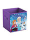 Frozen Violet 28x28x28cm 1buc