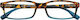 Zippo Women's Reading Glasses +1.00 Multicolor ...