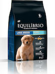 Equilibrio Puppy Large 2kg Dry Food for Large Breed Puppies with Chicken and Rice