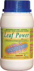 LEAF POWER 250 cc ORGANIC LUBRICATION