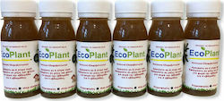 4 τεμάχια EcoPlant® των 60 ml + 2 δώρο! – 19,90€ μαζί με τα μεταφορικά κόστη