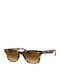 Ray Ban Unisex Sonnenbrille mit Braun Schildkröte Kunststoff Gestell und Braun Verlaufsfarbe Linse RB4640 710/M2