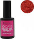 Bioshev Professional 10 Days Color Gel Effect G...