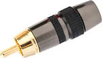 RCA male Connector 1pc