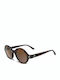 Converse Women's Sunglasses with Brown Plastic Frame CVY004TOR46