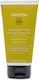 Apivita Frequent Use Conditioner Reconstruction/Nourishment for All Hair Types Chamomile & Honey 150ml