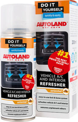 Autoland Spray Curățare pentru Aer condiționat 200ml 125430299