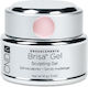 CND Brisa Sculpting Bauherren-Gel Für Nägel 14g Reines Rosa 14g