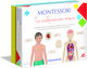 AS Το Ανθρώπινο Σώμα Montessori Educational Toy Knowledge for 3-6 Years Old