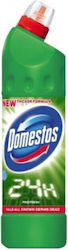Domestos Pine Χλωρίνη σε Υγρή Μορφή με Άρωμα Πεύκο 750ml Domestos Pine Χλωρίνη σε Υγρή Μορφή με Άρωμα Πεύκο 750ml