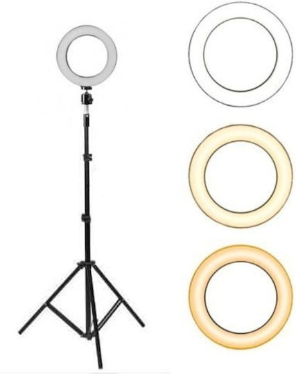 Ring Light USB LED Ring Light 16cm 2500 - 4500K with Floor Tripod
