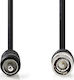 Nedis Καλώδιο RCA male - BNC male 2m Μαύρο (CVGP24800BK20)