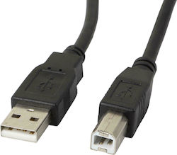 Lanberg USBA10CC USB 2.0 USB-A male σε USB-B male