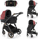 Lorelli Adria Adjustable 2 in 1 Baby Stroller S...