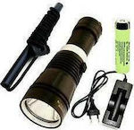 Rechargeable Flashlight LED BL-8751