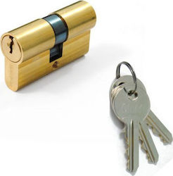 MASTER 60mm LOCK CYLINDER