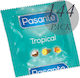 Pasante Condoms Tropical 144pcs 53mm Natural