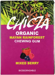 Chicza Chewing Gum With Organic Muron Flavour 100gr