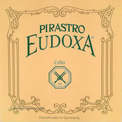 Pirastro Single Gut String for Cello 1/2 / 4/4 Eudoxa D 24 1/2"