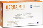 BioAxess Herba Mic Συμπλήρωμα για την Μνήμη 30 κάψουλες