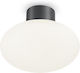 Ideal Lux Clio MPL1 Πλαφονιέρα Οροφής Εξωτερικού Χώρου E27 Anthracite σε Μαύρο Χρώμα 148861
