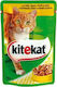 Kitekat Beutel Nassfutter für Erwachsene Katzen in Beutel mit Huhn und Leber 100gr
