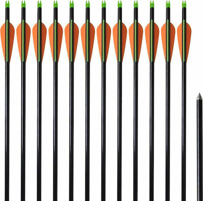 vidaXL Fiberglass Arrows 12pcs