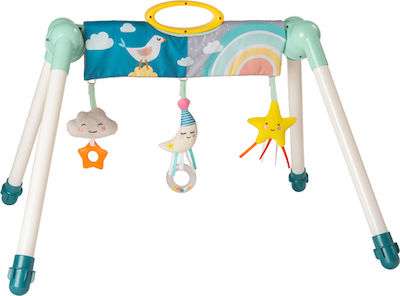 Taf Toys Mini Moon Blau für 6++ Monate (LxBxH) 59x49x49cm