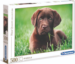 Chocolate Puppy Puzzle 2D 500 Pieces