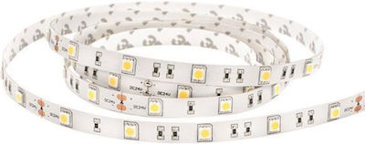 Eurolamp Bandă LED Alimentare 12V cu Lumină Alb Natural Lungime 5m și 60 LED-uri pe Metru SMD5050