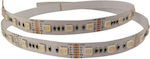 Eurolamp Bandă LED Alimentare 24V RGB Lungime 5m și 60 LED-uri pe Metru SMD5050