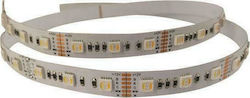 Eurolamp Bandă LED Alimentare 24V cu Lumină Alb Natural Lungime 5m și 60 LED-uri pe Metru SMD2835