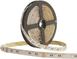 Eurolamp Waterproof LED Strip Power Supply 24V RGBW Length 5m and 60 LEDs per Meter SMD5050