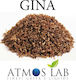 Atmoslab Άρωμα Gina 10ml 1τμχ