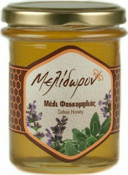 Μελίδωρον Μέλι Φασκομηλιάς 250gr