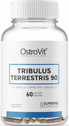 OstroVit Tribulus Terrestris 90 1000mg 60 κάψουλες