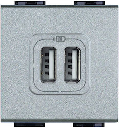 Legrand Power Socket with 2 USB Ports Gray