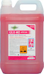 Glochem Επαγγελματικό Glo 402 Anticalk Υγρό Καθαριστικό Κατά των Αλάτων 5lt