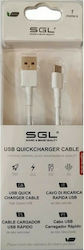 SGL USB 2.0 USB-C male - USB-A 1m (194763)