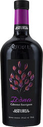 Astoria Wines Icona Roșu Șampon Uscat 750ml Astoria Wines Icona Roșu Șampon Uscat 750ml