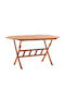 Outdoor Dinner Foldable Wood Table Cherry 135x85x75cm